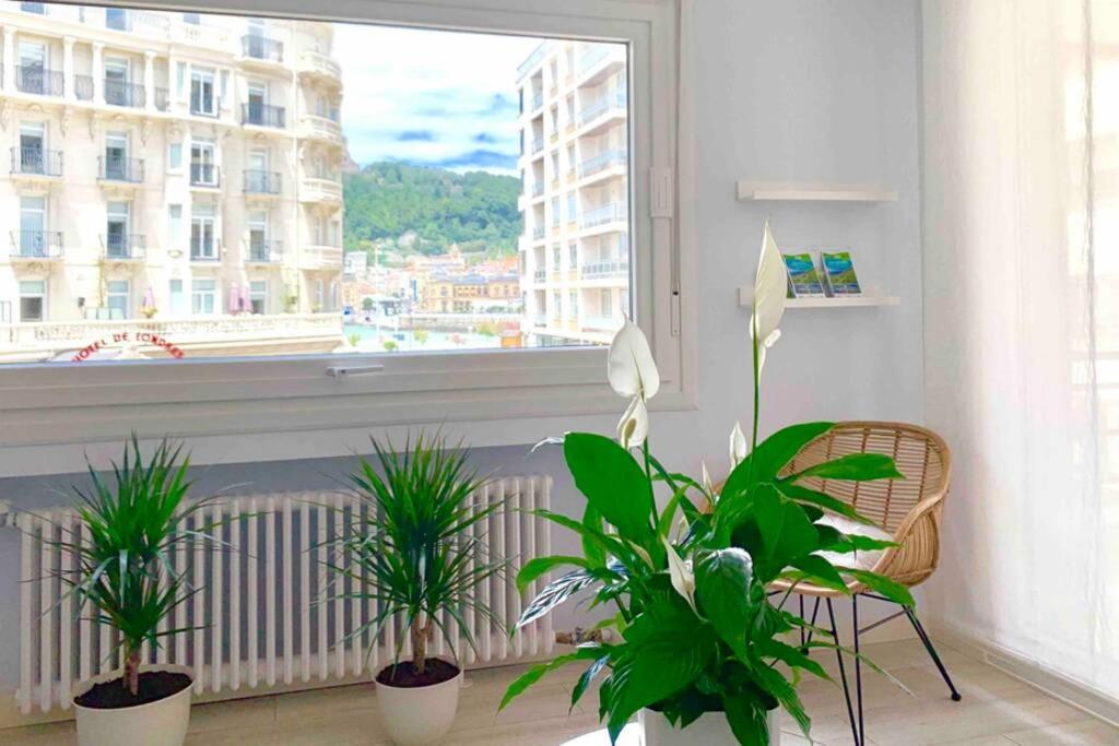 New Gorgeous Central Apartment - Beachfront - 3 Bd ซานเซบาสเตียน ภายนอก รูปภาพ